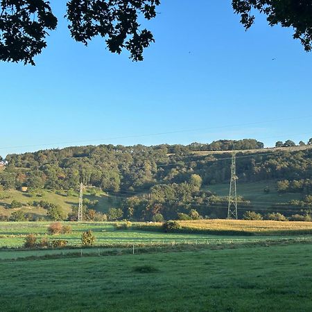 Guest House En Famille Ou En Couple A La Campagne Romsee Exterior foto